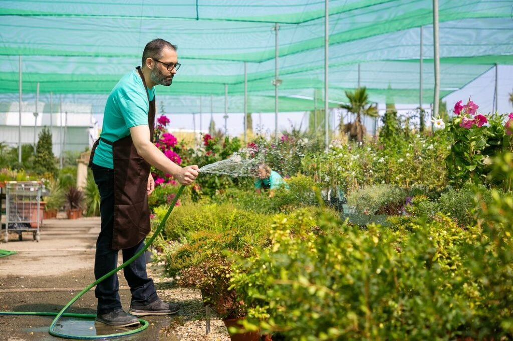 Best Plants for Landscaping in Qatar